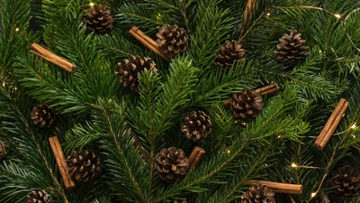 Рождественский пост 2023: душевные поздравления на украинском языке в прозе и стихах