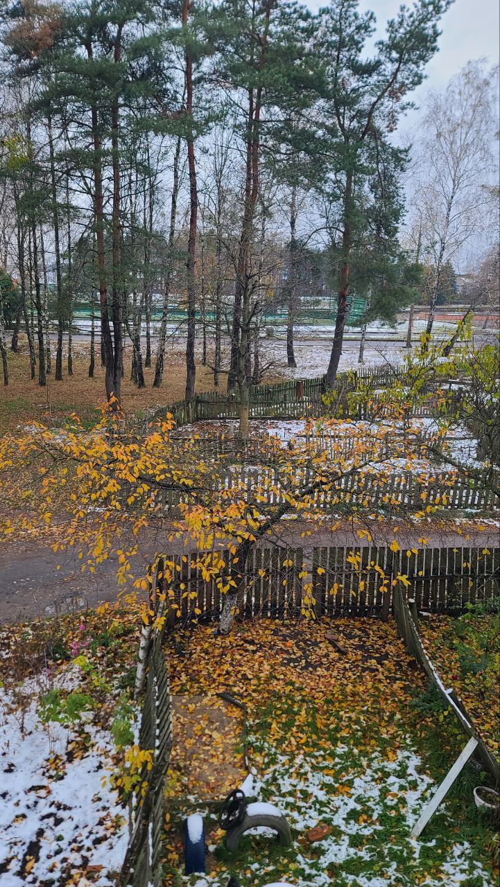 Сніг у Волинській області  - фото 583515