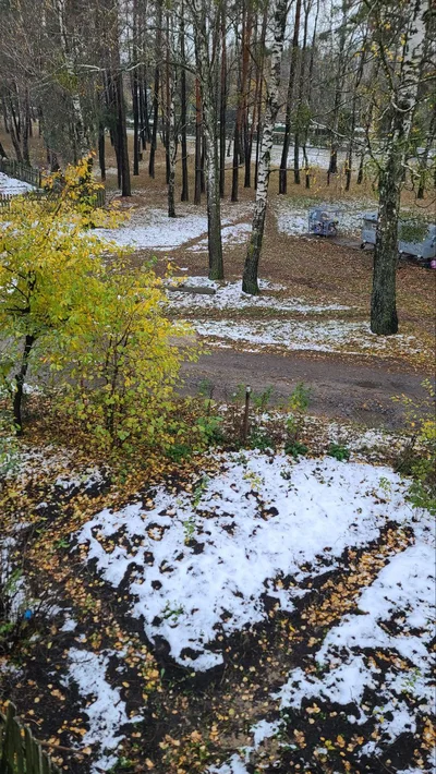 Перші фото снігу 2023 - фото 583516
