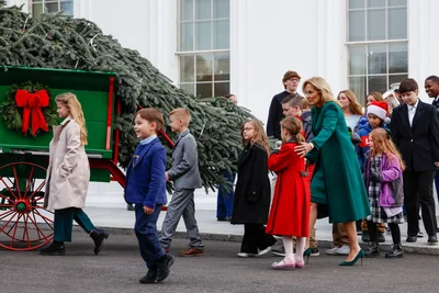 В Белый дом прибыла рождественская елка: смотри, как первая леди встречала дерево - фото 584174