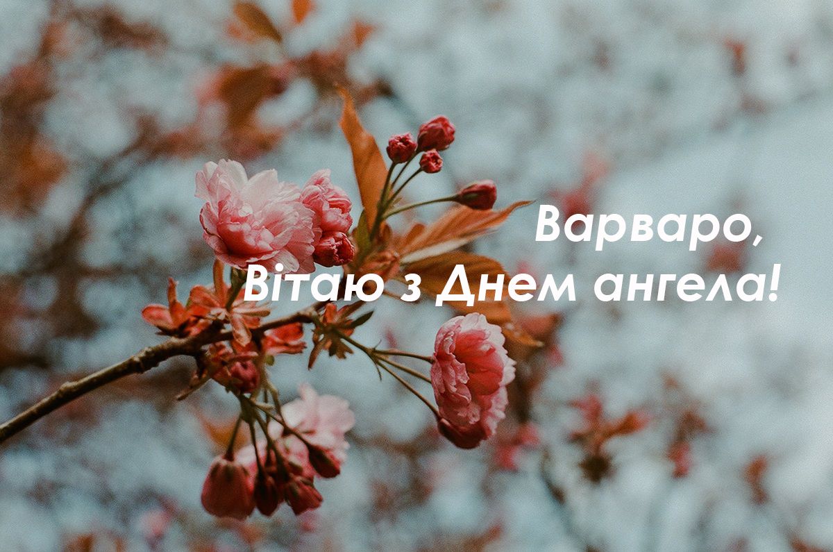 С Днем Святой Варвары открытки - 585837 С Днем Святой Варвары открытки - фото 585837