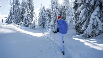 Названо найпопулярніший тренд у спорті, який допоможе почуватися краще