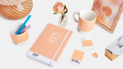 Оголосили головний колір 2024 року - це сама ніжність