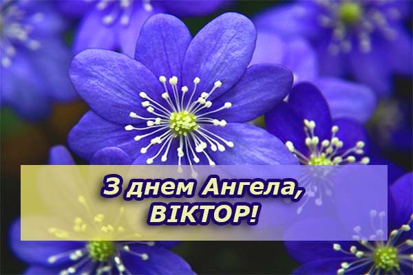 Картинки с Днем ангела Виктор - фото 586904