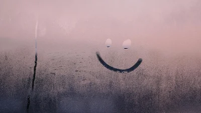 Поставте їх на підвіконня: які рослини допоможуть у боротьбі з конденсатом