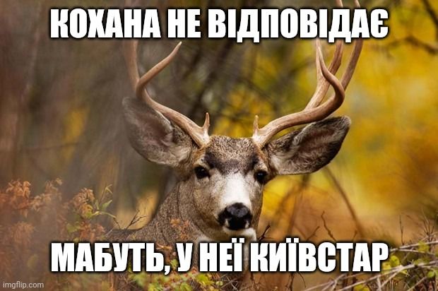 У мережі 'Київстар' стався збій — українці відреагували мемами - фото 587220