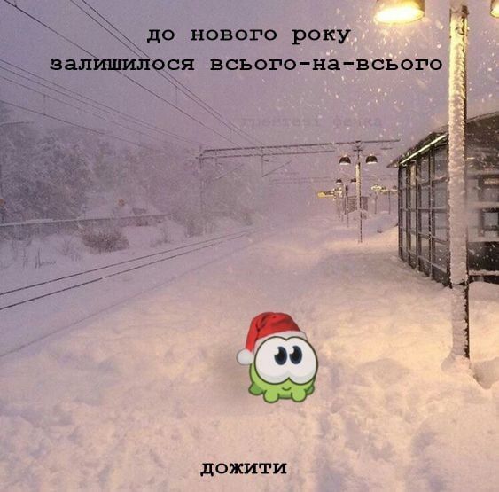 Мемы о новогодних праздниках, от которых одновременно смеешься и плачешь - фото 587881