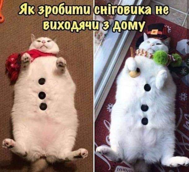 Мемы о новогодних праздниках, от которых одновременно смеешься и плачешь - фото 587883