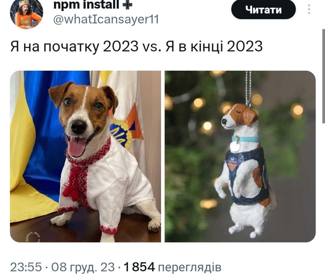 Мемы о новогодних праздниках, от которых одновременно смеешься и плачешь - фото 587887
