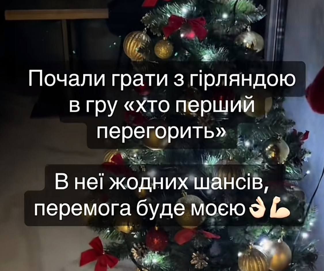 Мемы о новогодних праздниках, от которых одновременно смеешься и плачешь - фото 587891