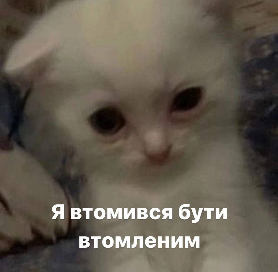Мемы о новогодних праздниках, от которых одновременно смеешься и плачешь - фото 587893