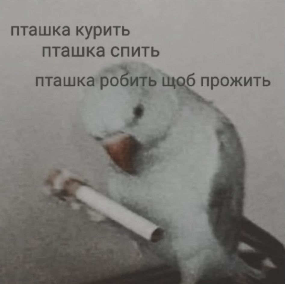 Мемы о новогодних праздниках, от которых одновременно смеешься и плачешь - фото 587894