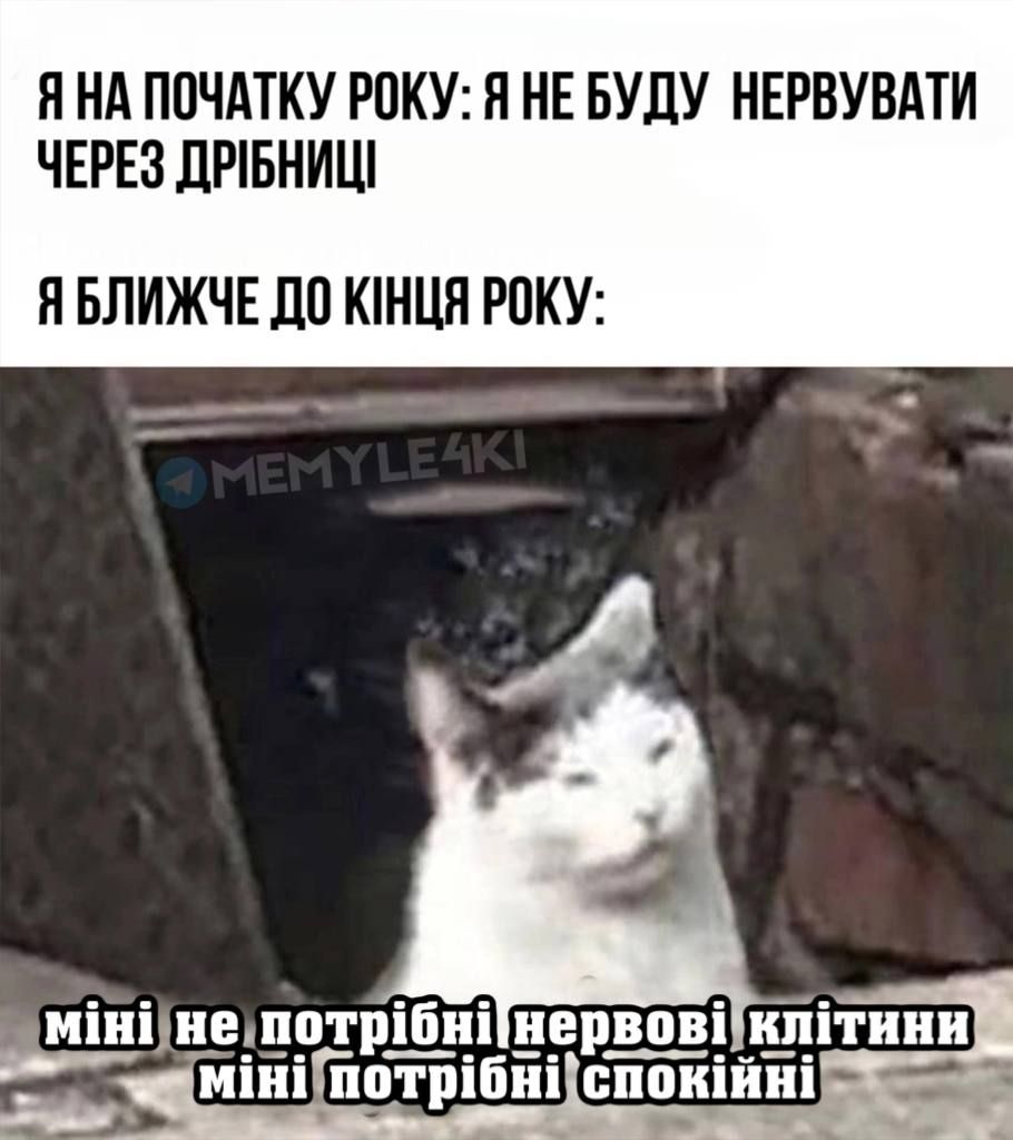Мемы о новогодних праздниках, от которых одновременно смеешься и плачешь - фото 587895
