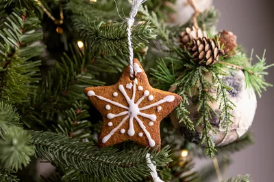 Как из Instagram: 4 стильных варианта декора рождественского печенья - фото 588119
