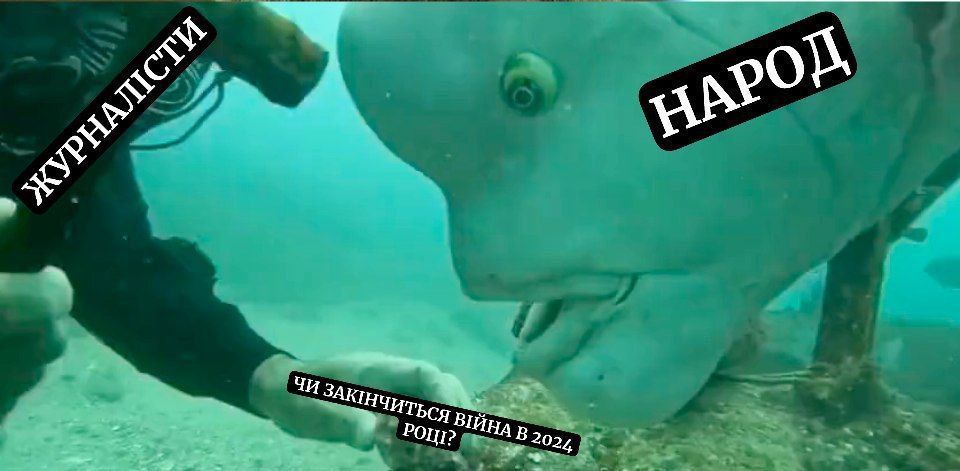 Меми про пресконференцію Зеленського, в яких українці аналізують почуте - 588532 Меми про пресконференцію Зеленського, в яких українці аналізують почуте - фото 588532