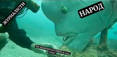 Мемы о пресс-конференции Зеленского, в которых украинцы анализируют услышанное - фото 588532