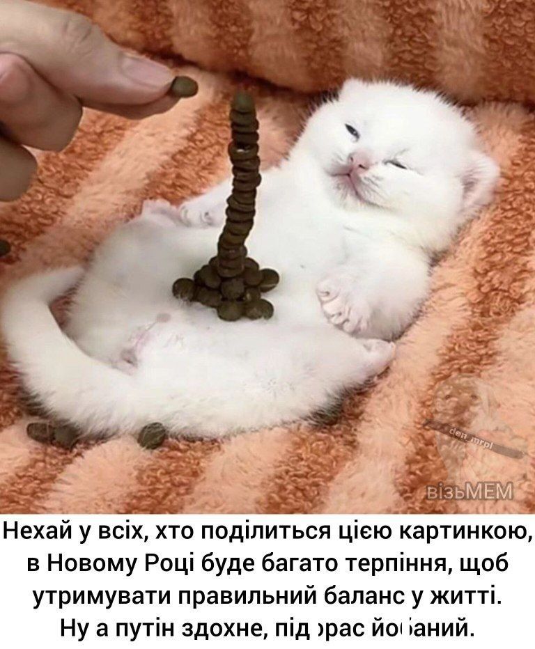 Заспанные, но несокрушимые: украинцы создают мемы о новогодних обстрелах Киева - 590527 Заспанные, но несокрушимые: украинцы создают мемы о новогодних обстрелах Киева - фото 590527