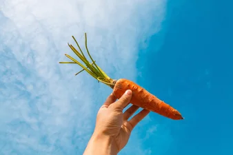 Складніше, ніж здається: як правильно зберігати моркву