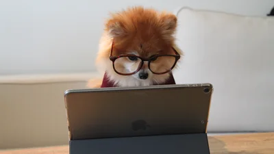 Міжнародний день програміста 2024: привітання в віршах та картинках