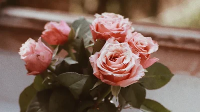 День ангела Марии – поздравляй с именинами искренними пожеланиями в прозе и картинках