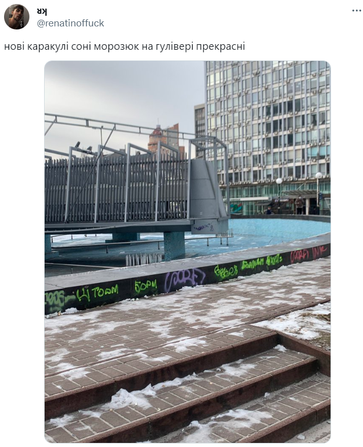 Меми про Соню Морозюк, наречену Романа Гринкевича, яка досягла успішного успіху - фото 591481