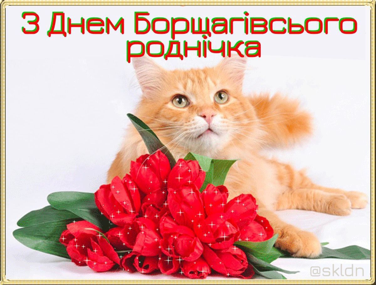 Меми про нечистоти у Києві, в яких юзери висміюють мера Віталія Кличка - фото 591591
