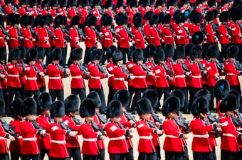 Стівен Фрай закликає заборонити використання ведмежої шерсті в шапках королівської гвардії