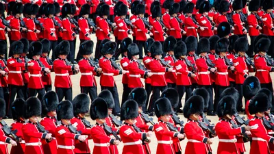 Стівен Фрай закликає заборонити використання ведмежої шерсті в шапках королівської гвардії