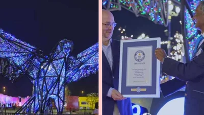 Дубай потрапив до Книги рекордів Гіннесса за гігантського сталевого птаха вагою 8 тисяч кг