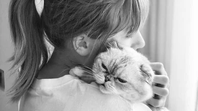 Кішка Тейлор Свіфт виявилася багатшою за нового бойфренда співачки