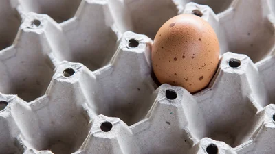 Как понять, что яйца испортились: 3 простых способа это определить
