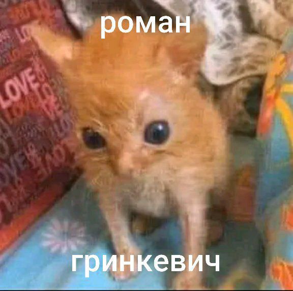 Мемы с Романом Гринкевичем, которого бросила Соня Морозюк после расследования ГБР - 593533 Мемы с Романом Гринкевичем, которого бросила Соня Морозюк после расследования ГБР - фото 593533
