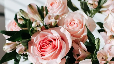 Красиві привітання з Днем ангела Оксани у віршах та листівках