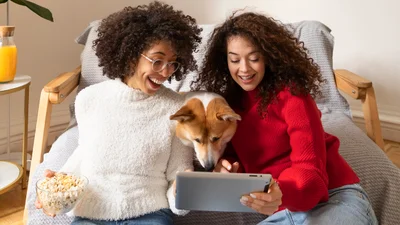 Собаки любят смотреть телевизор, и вот их самые любимые видео