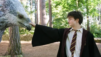 Серіал за мотивами "Гаррі Поттера": HBO шукає сценаристів