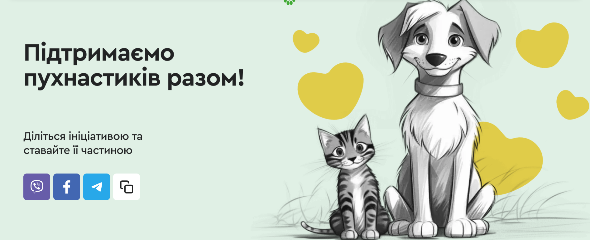 Нагодувати безхатніх тварин може кожен: як це легко зробити завдяки NOVUS - 594887 Нагодувати безхатніх тварин може кожен: як це легко зробити завдяки NOVUS - фото 594887