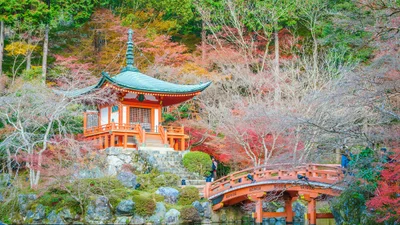 20 самых крутых путешествий 2024 года - рейтинг от National Geographic