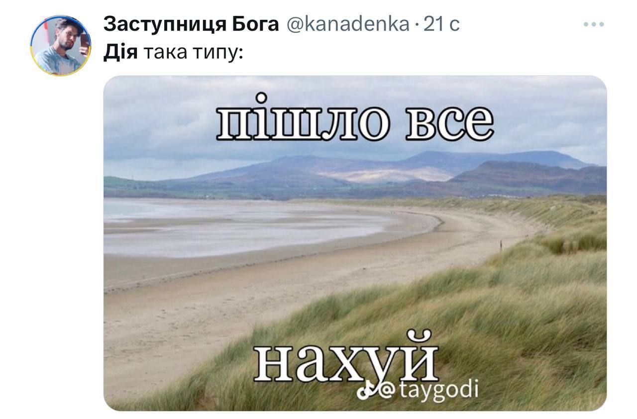 Шикарные мемы, которые не могли не появиться после финала Нацотбора 2024 и краха 'Дія' - фото 595761