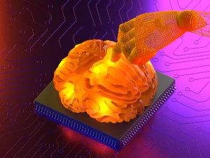 Ученые впервые в мире напечатали на 3D-принтере ткани человеческого мозга