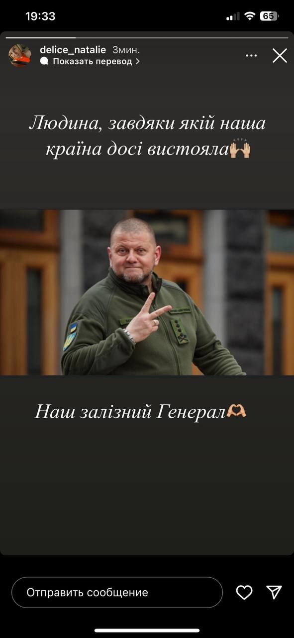 Притула, Тополя и другие звезды делятся мощными постами благодарности Залужному - фото 596765
