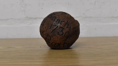 Самый дорогой лимон в мире: за сколько продали 285-летний фрукт