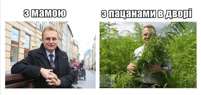 Меми про легалайз в Україні, які піднімуть настрій - 598190 Меми про легалайз в Україні, які піднімуть настрій - фото 598190