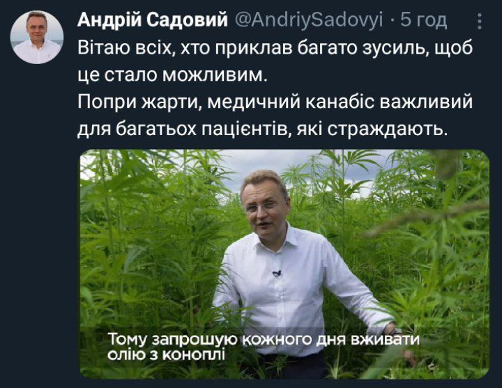 Меми про легалайз в Україні, які піднімуть настрій - 598202 Меми про легалайз в Україні, які піднімуть настрій - фото 598202