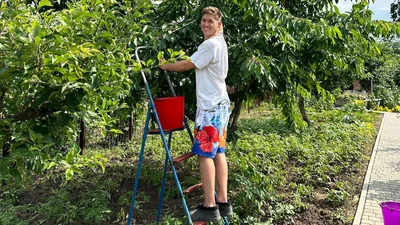 Володимиру Остапчуку "зайшов" жарт Люкс, і тепер він активно використовує його з коханою