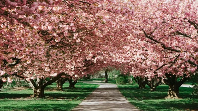 Як зробити весняне фото для Instagram — круті ідеї