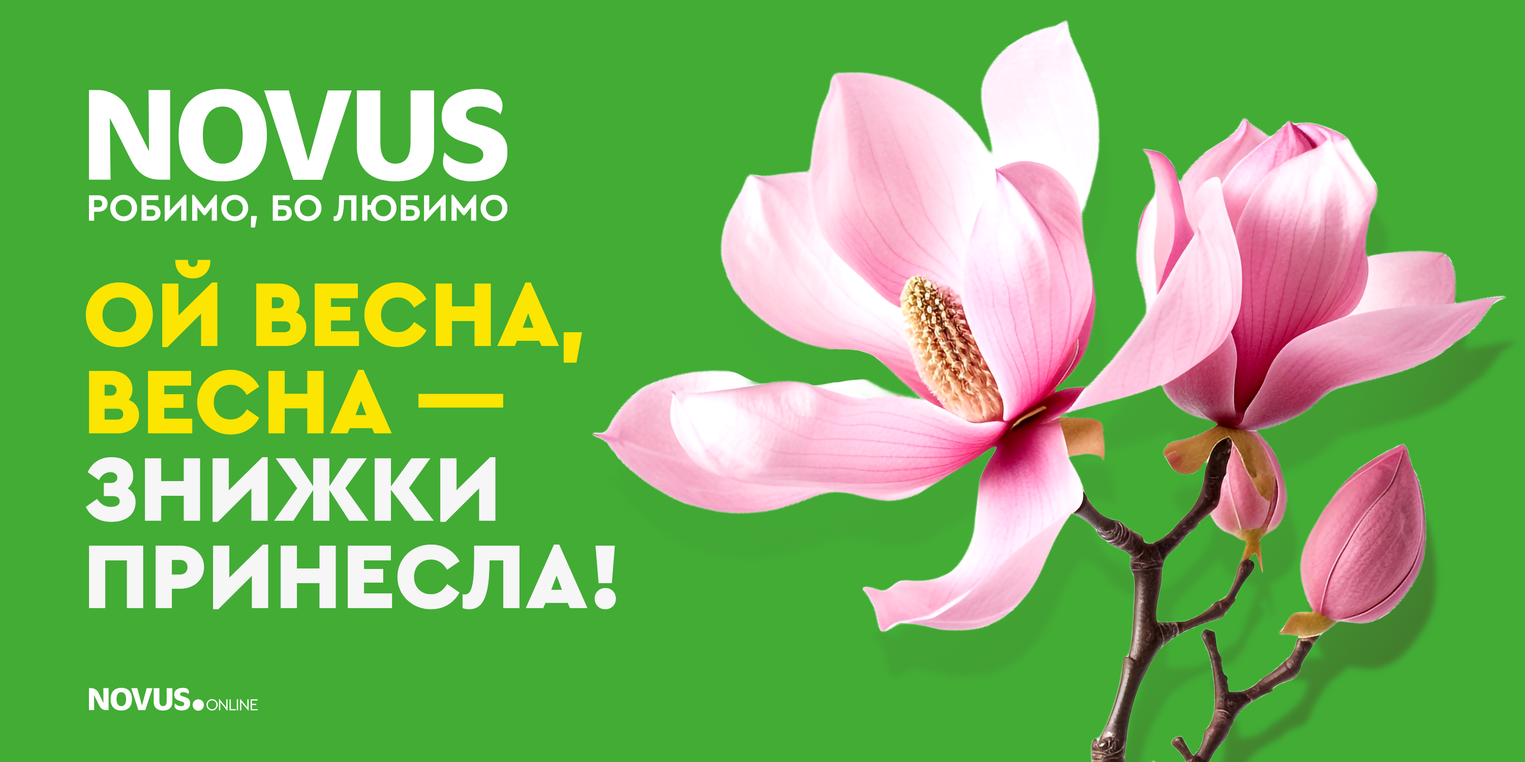 Весна знижки принесла: які акції пропонує NOVUS у березні - фото 600164