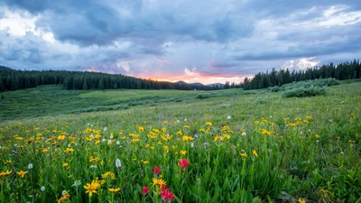 Стихи о весне украинских поэтов, чтобы красиво встретить 1 марта