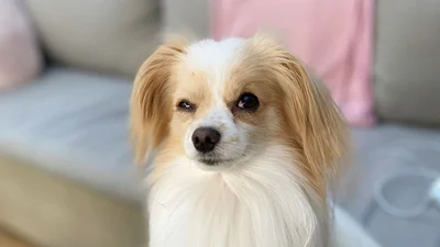 Как обуздать ревность: 4 шага, чтобы избавиться от подозрений в отношениях