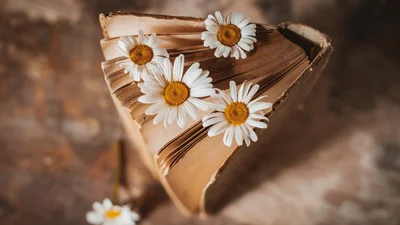 Цитаты о первом дне весны украинских писателей, которыми можно поделиться в Instagram