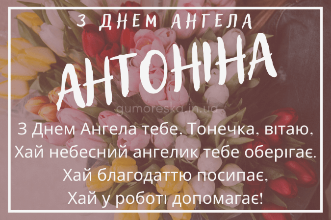 День ангела Антонины: самые праздничные поздравления знакомым - фото 600691